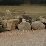 Il Casale San Martino 3*