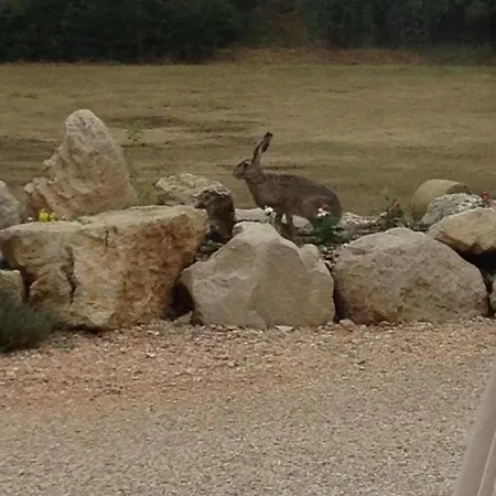 伊尔卡萨莱圣马蒂诺乡村民宿 3*