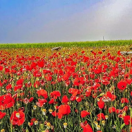 Il Casale San Martino Nocleg ze śniadaniem Nursja