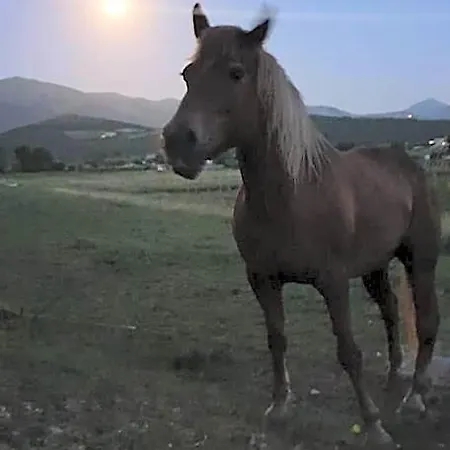 Nocleg ze śniadaniem Il Casale San Martino 3*